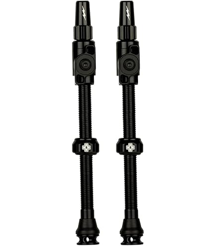 Amazon | Reserve リザーブホイール Fillmore Valve チューブレス
